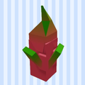 Dragon Fruit Seed