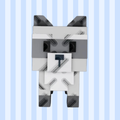 Raccoon